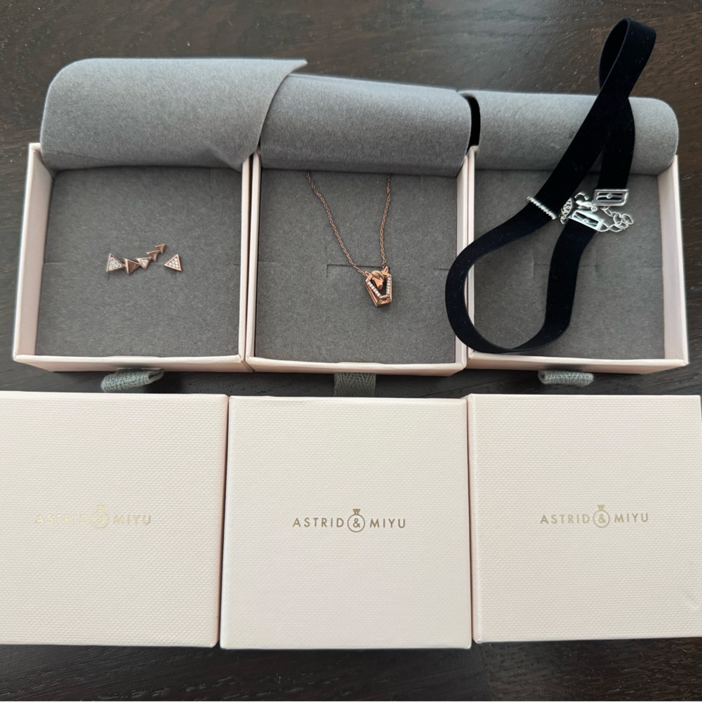 Rose Gold Necklace and Earring Set